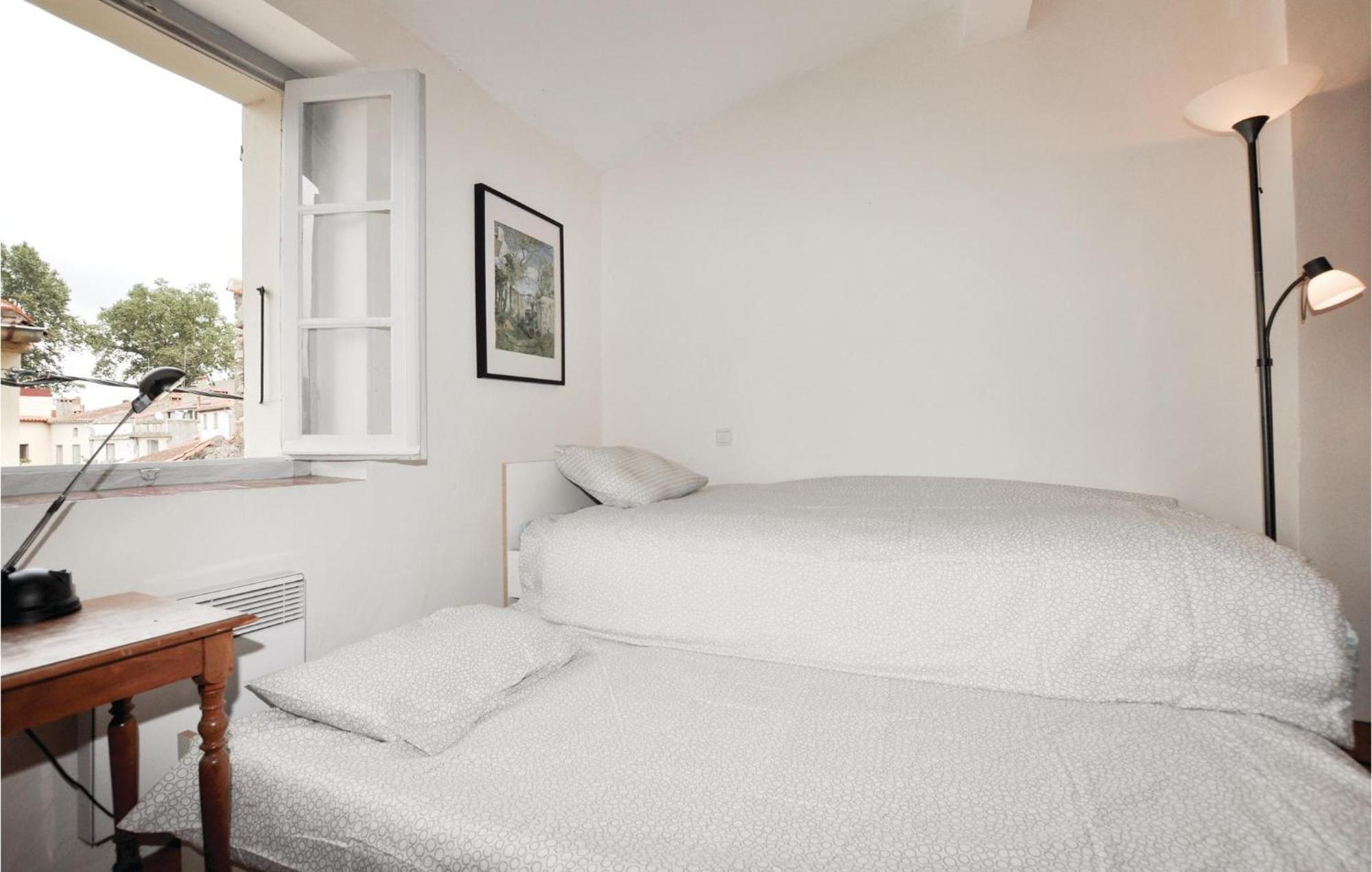 Amazing Home In Ceret With Wifi Exterior photo